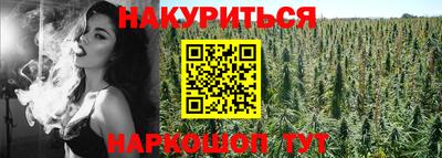 эйфоретик Дубна